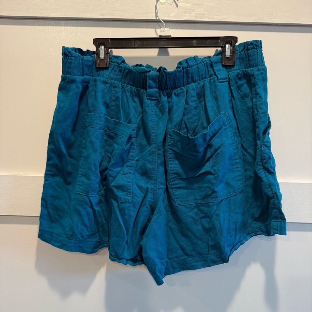 Terra & Sky 1X Teal Cargo Shorts - Picture 4 of 6